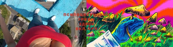 бутират Кукмор