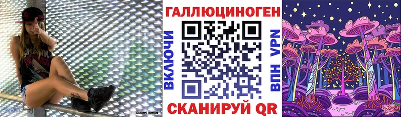 ОМГ ОМГ сайт Порхов Галлюциногенные грибы Psilocybe дарнет шоп